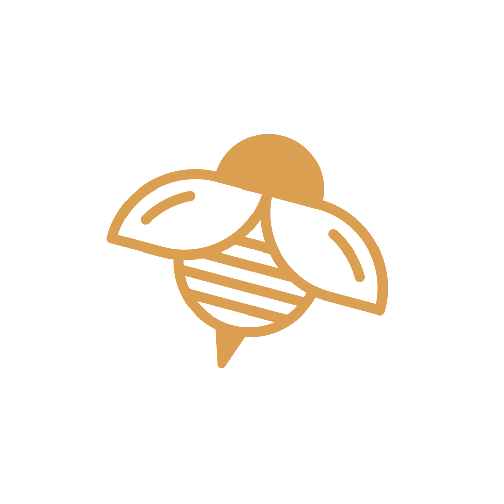 bee image