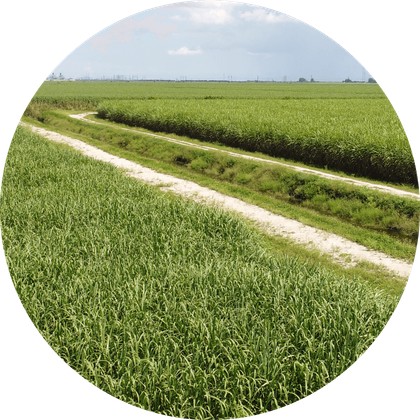 Farm Image 1