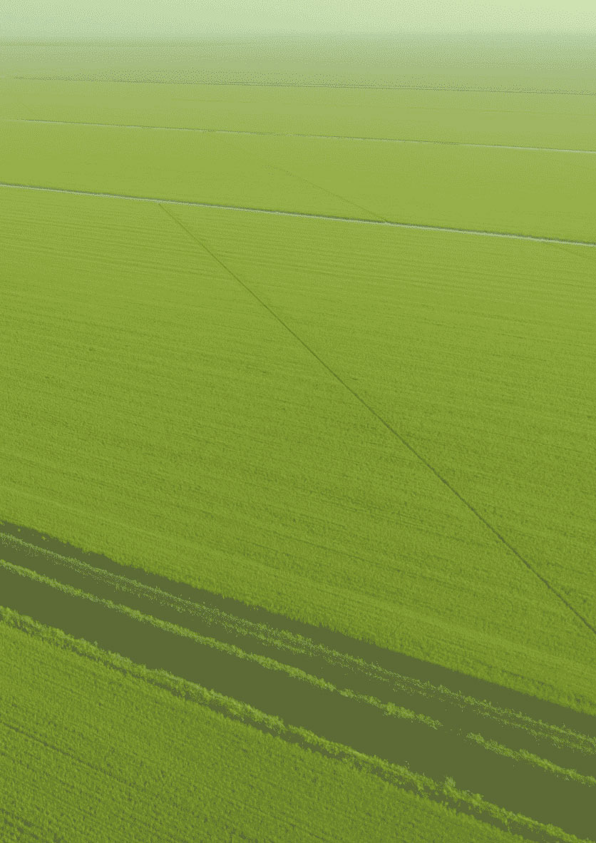 company-banner-fade